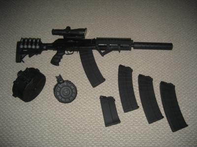 Attached Image: saiga.JPG